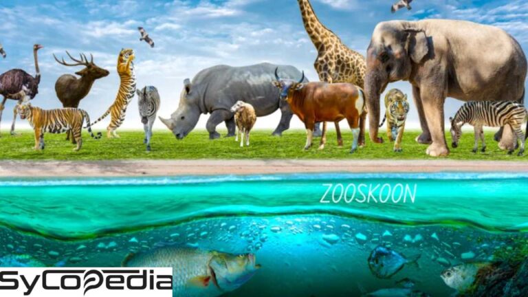 Zooskooñ