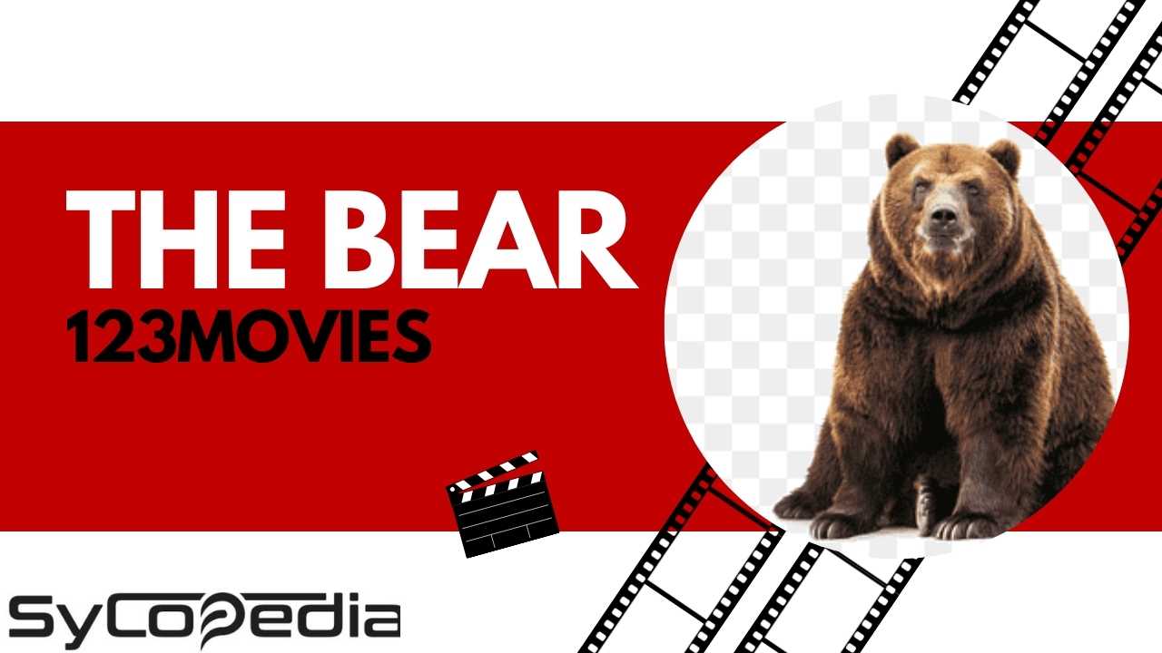 The Bear on 123movies