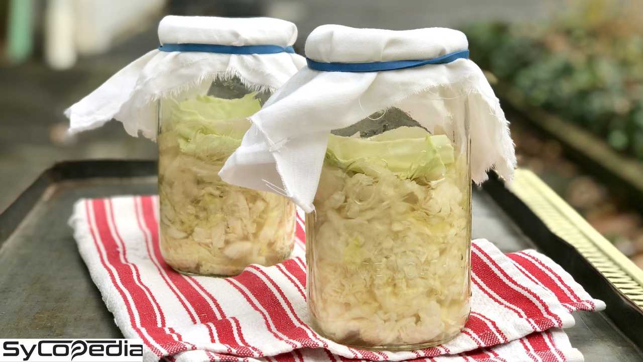 sauerkraut